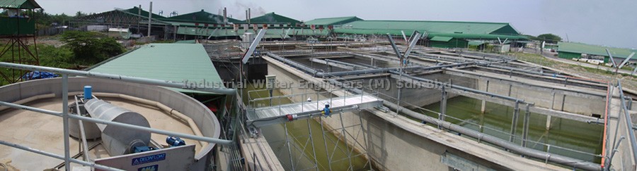 Fish Processing — Vietnam — IWE wastewater project